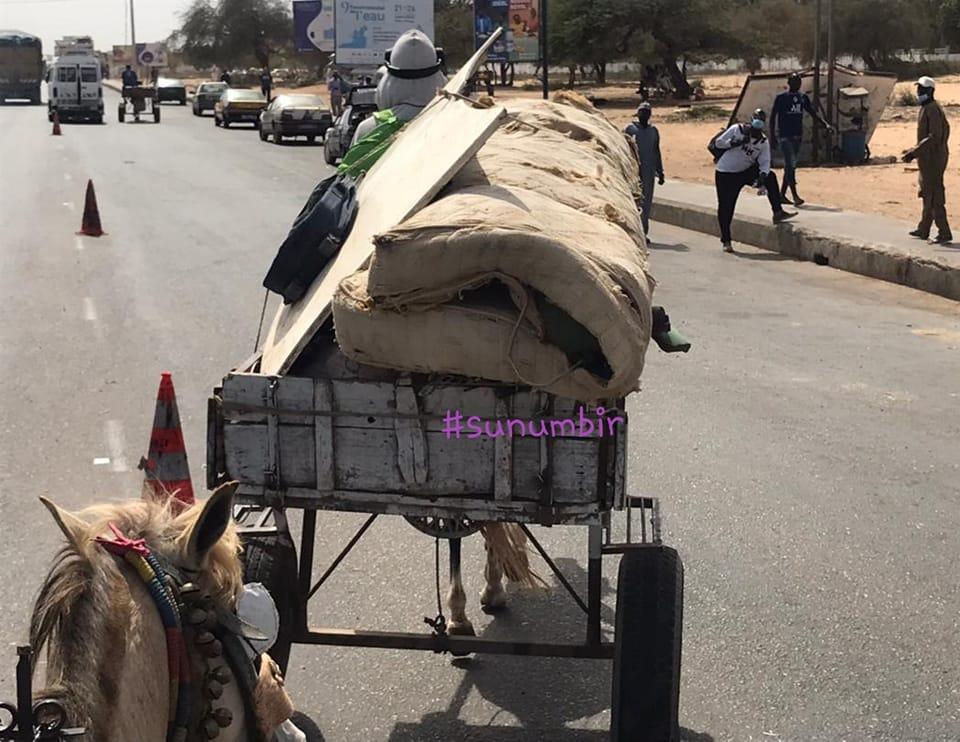 277732750 4907871349260066 3727514509589513475 n