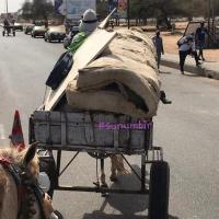 277732750 4907871349260066 3727514509589513475 n