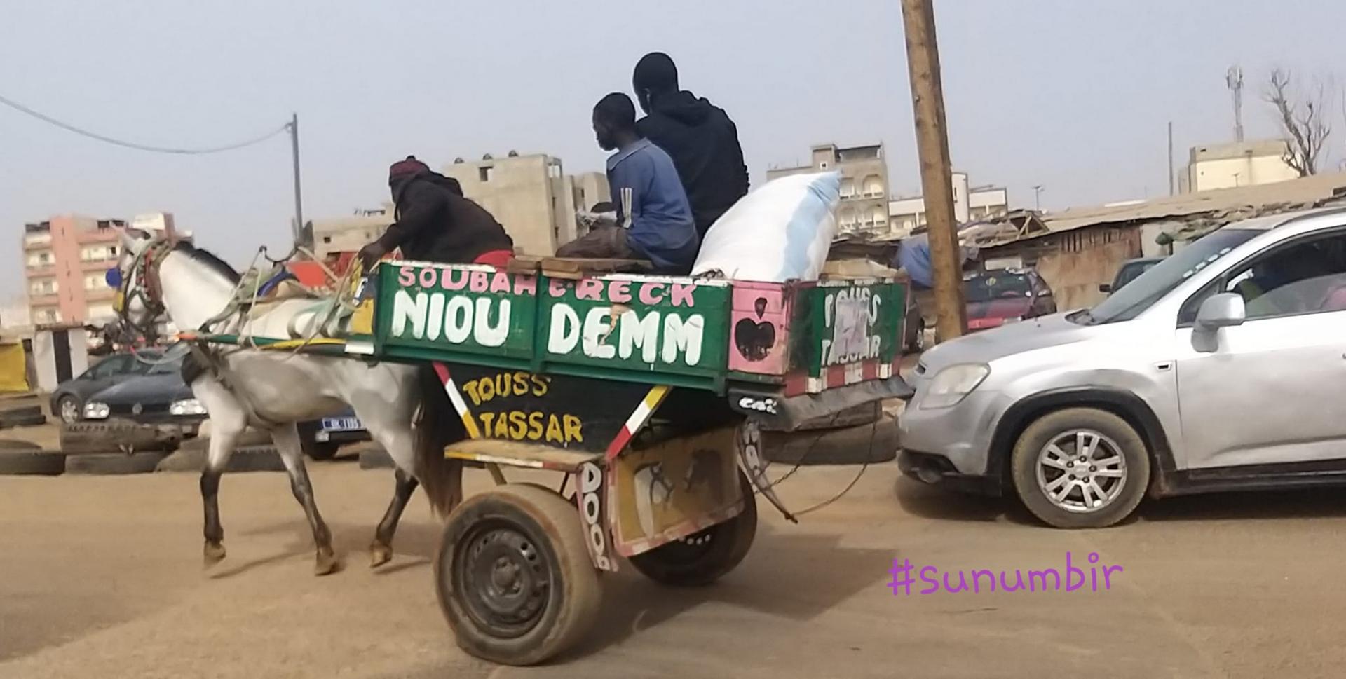 277739818 4906278222752712 4990137580173595857 n