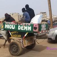 277739818 4906278222752712 4990137580173595857 n