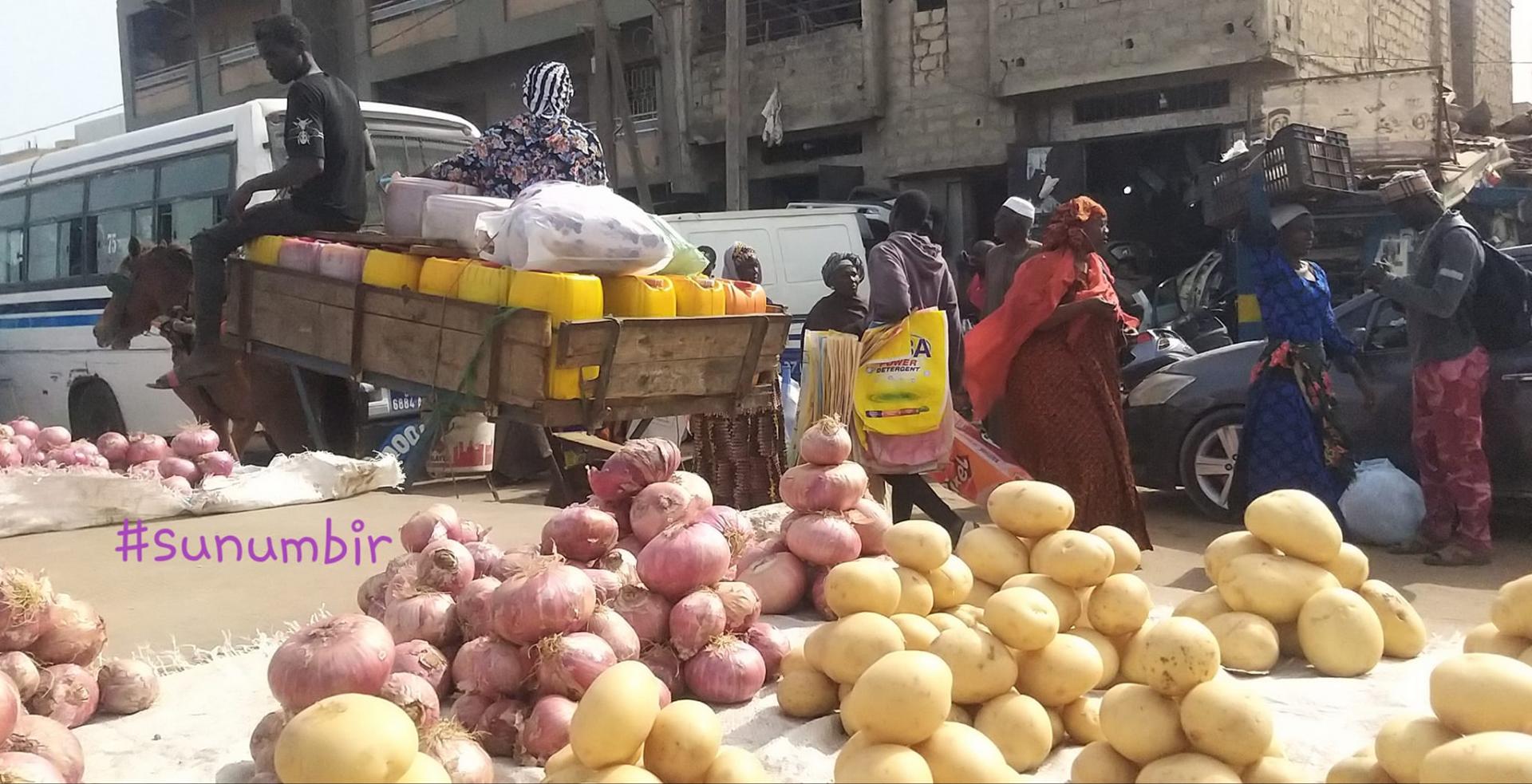 277741769 4900627459984455 5874319318401504069 n