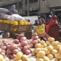 277741769 4900627459984455 5874319318401504069 n