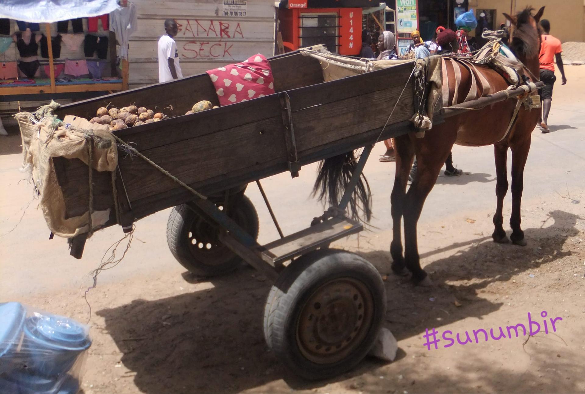 277744127 4909386002441934 8146267903468955125 n