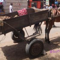 277744127 4909386002441934 8146267903468955125 n