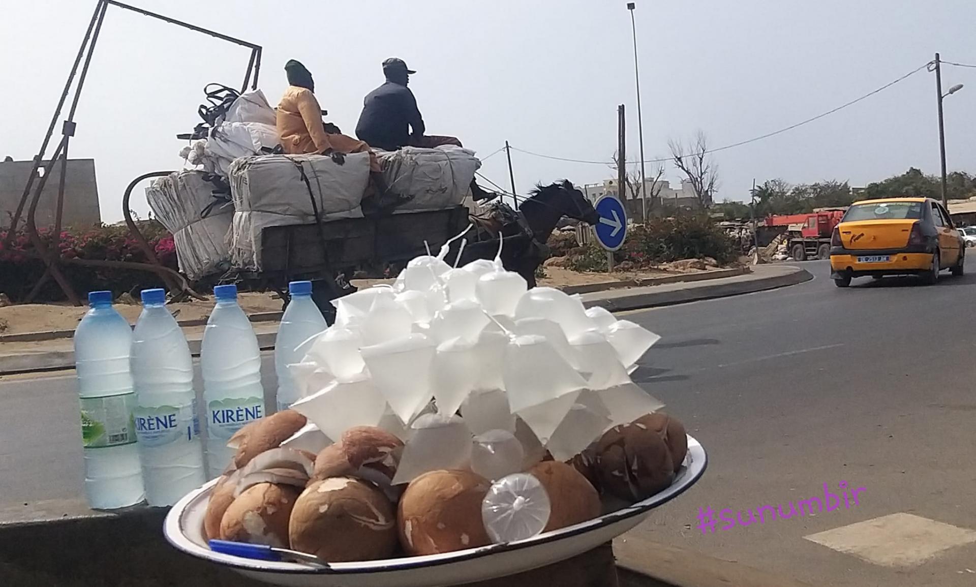 277746829 4901958733184661 5065363185561992306 n