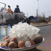 277746829 4901958733184661 5065363185561992306 n