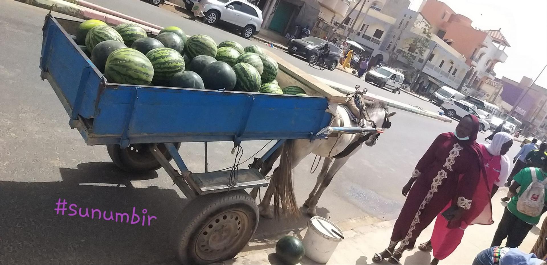 277758035 4907643352616199 7403290575053682321 n