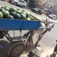 277758035 4907643352616199 7403290575053682321 n