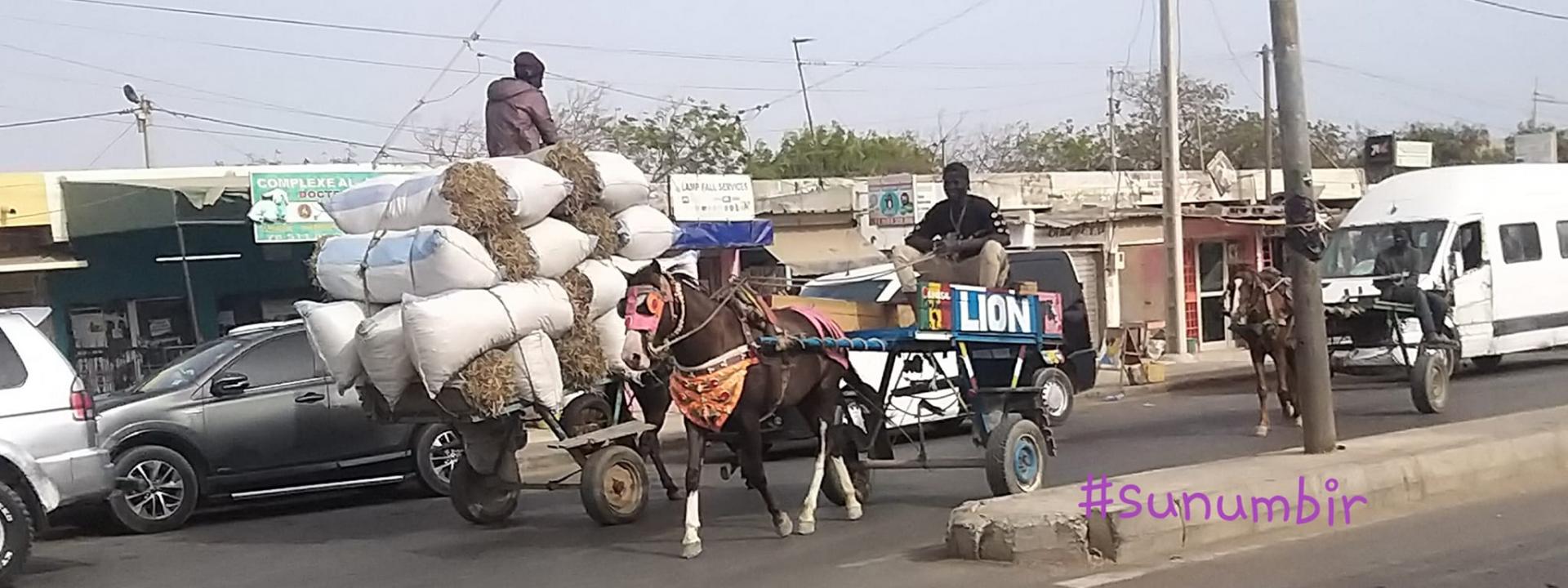 277764038 4904694252911109 5356768993898066846 n