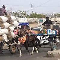 277764038 4904694252911109 5356768993898066846 n