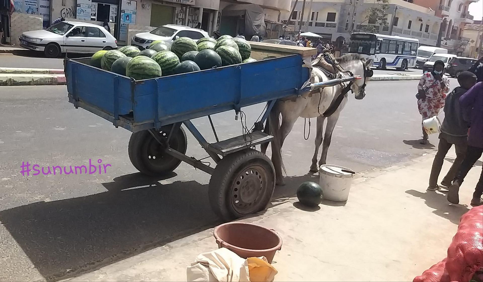 277764926 4907642885949579 1011740326852893755 n