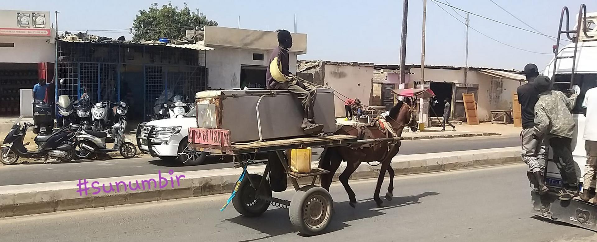 277765335 4908797919167409 202082016391524039 n