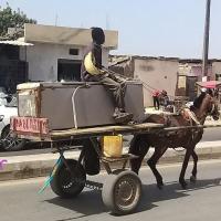 277765335 4908797919167409 202082016391524039 n