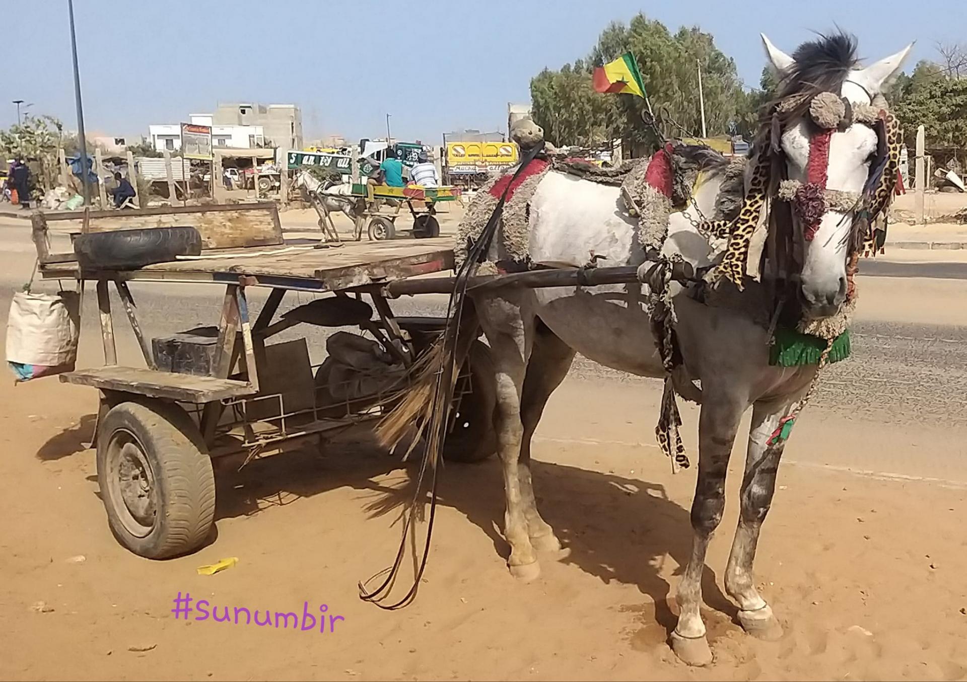 277768611 4910407872339747 2011814057708246404 n