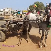 277768611 4910407872339747 2011814057708246404 n