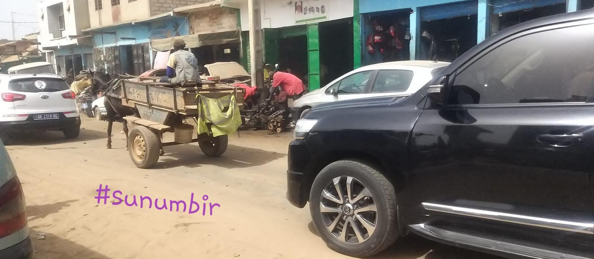 277775940 4903470853033449 3204818870853145053 n