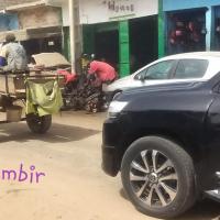 277775940 4903470853033449 3204818870853145053 n