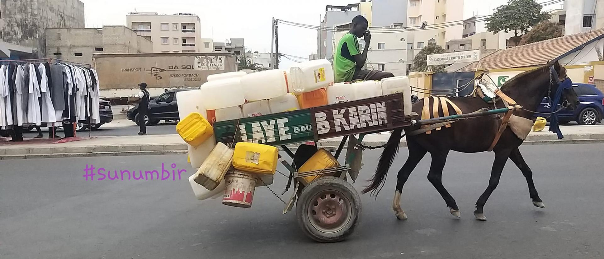 277780402 4912684228778778 2195012467074179768 n