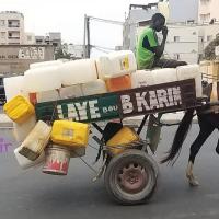 277780402 4912684228778778 2195012467074179768 n