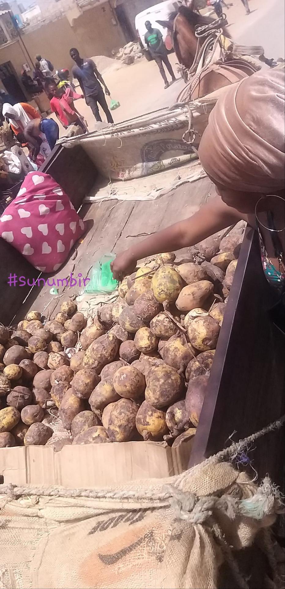 277786653 4909386675775200 4925073722575076091 n