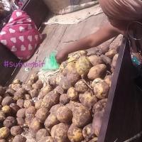 277786653 4909386675775200 4925073722575076091 n