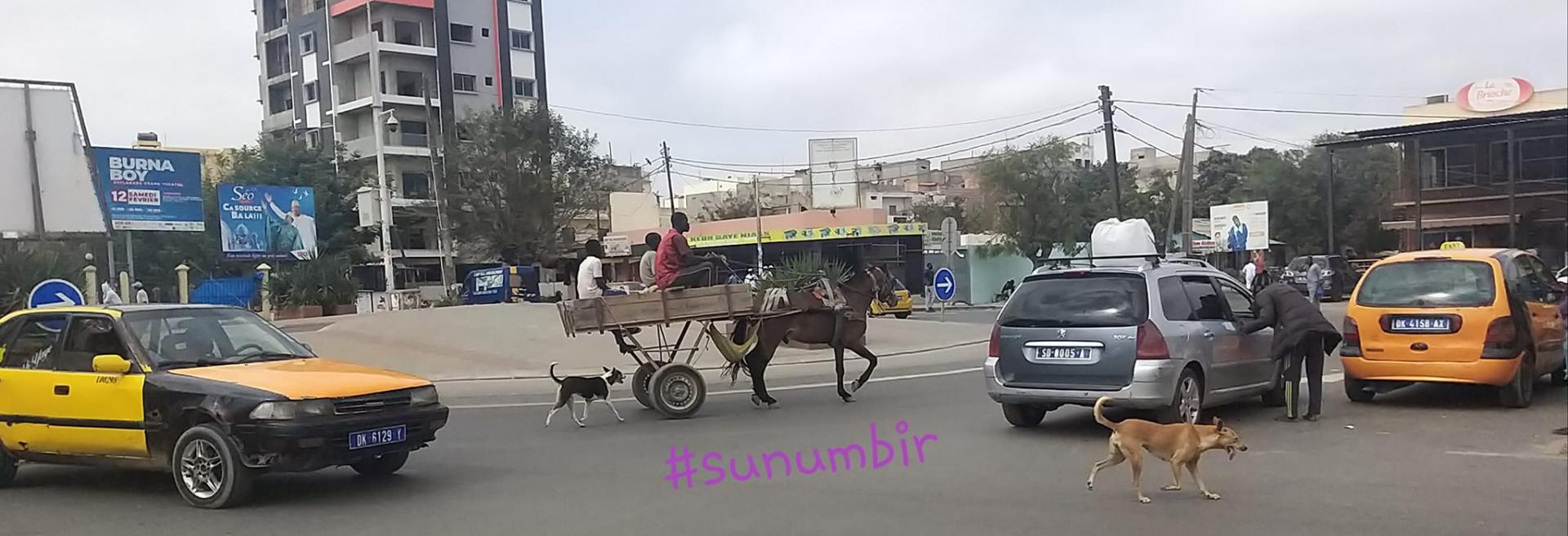 277797022 4914100285303839 7748444324537379291 n