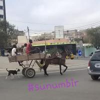 277797022 4914100285303839 7748444324537379291 n