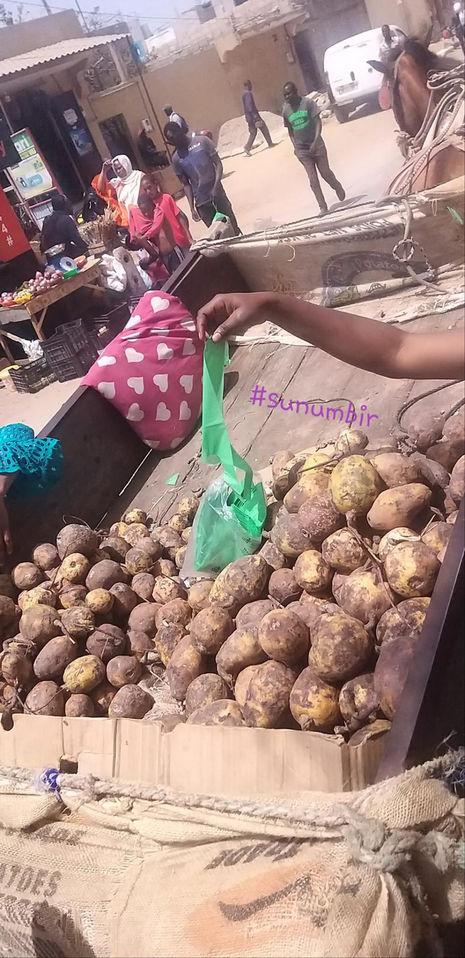 277799750 4909386355775232 1962608139576309064 n