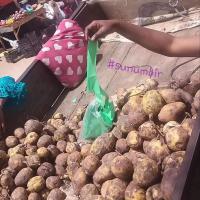 277799750 4909386355775232 1962608139576309064 n