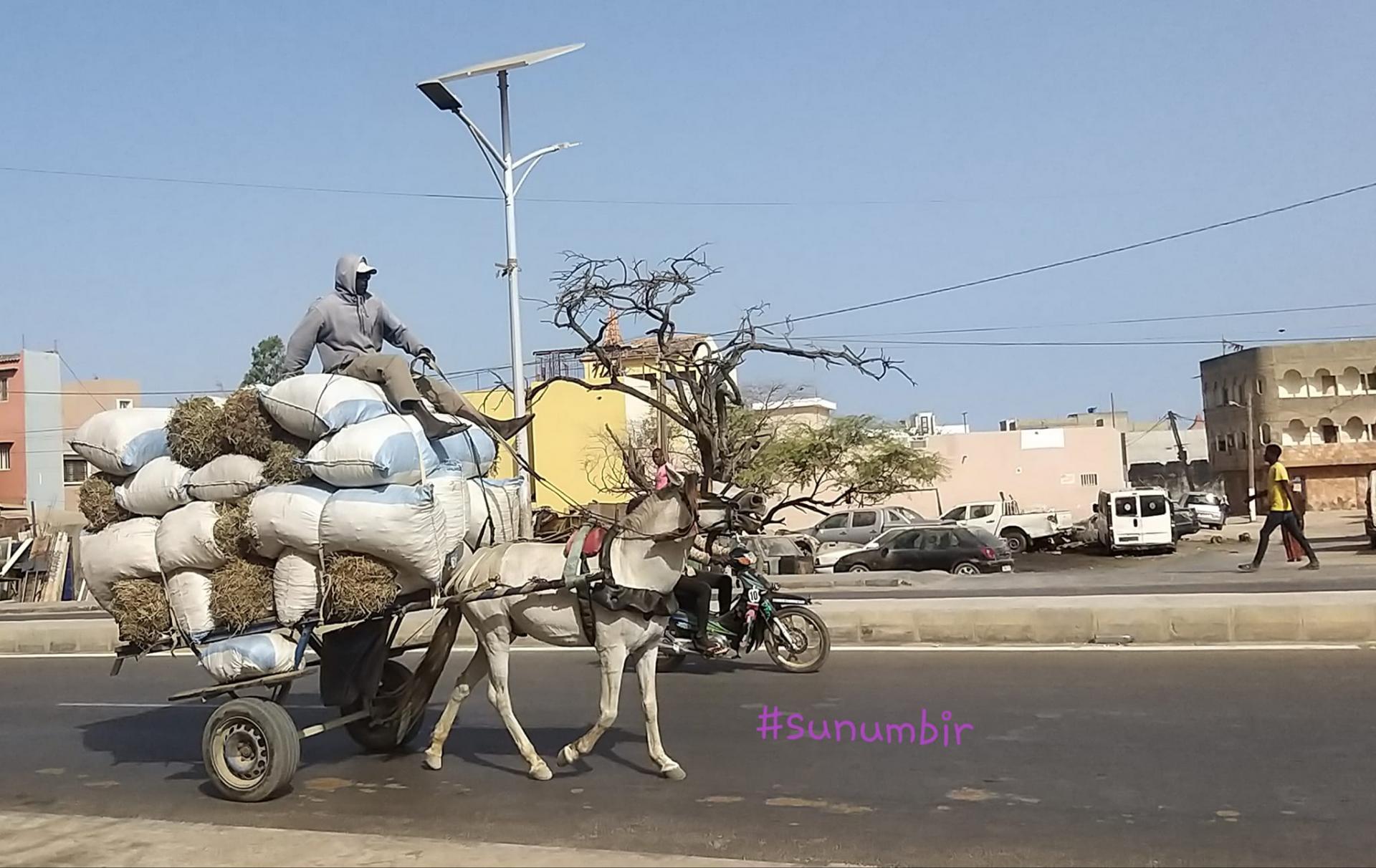 277805487 4911485485565319 2780859840178155133 n