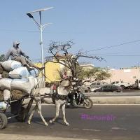 277805487 4911485485565319 2780859840178155133 n