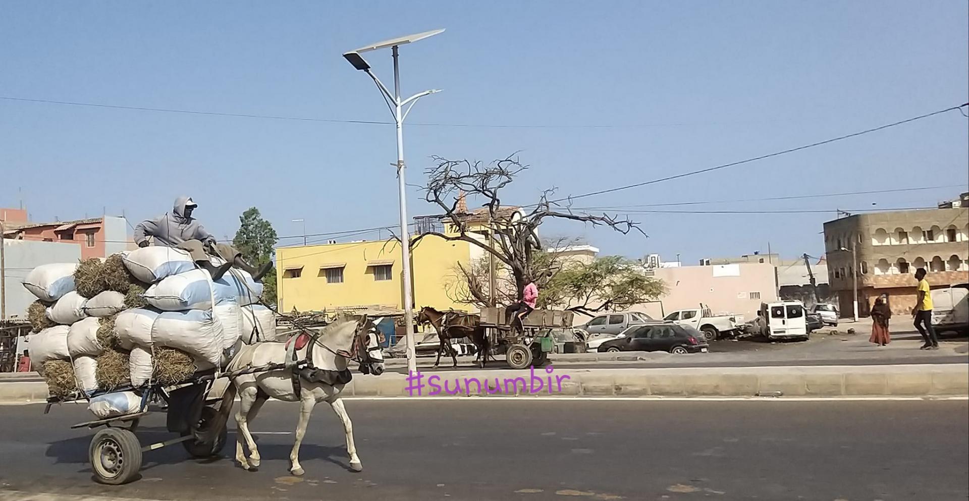 277806759 4911485295565338 3300206830149856429 n