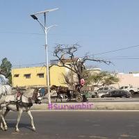 277806759 4911485295565338 3300206830149856429 n