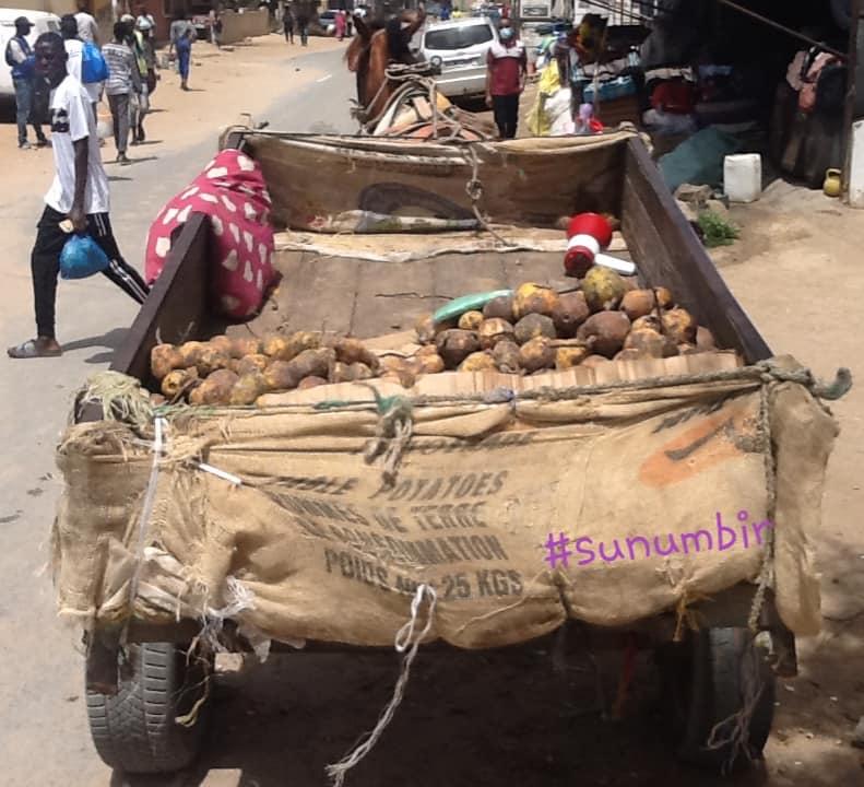 277808532 4909382382442296 9166855557013082757 n