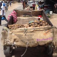 277808532 4909382382442296 9166855557013082757 n