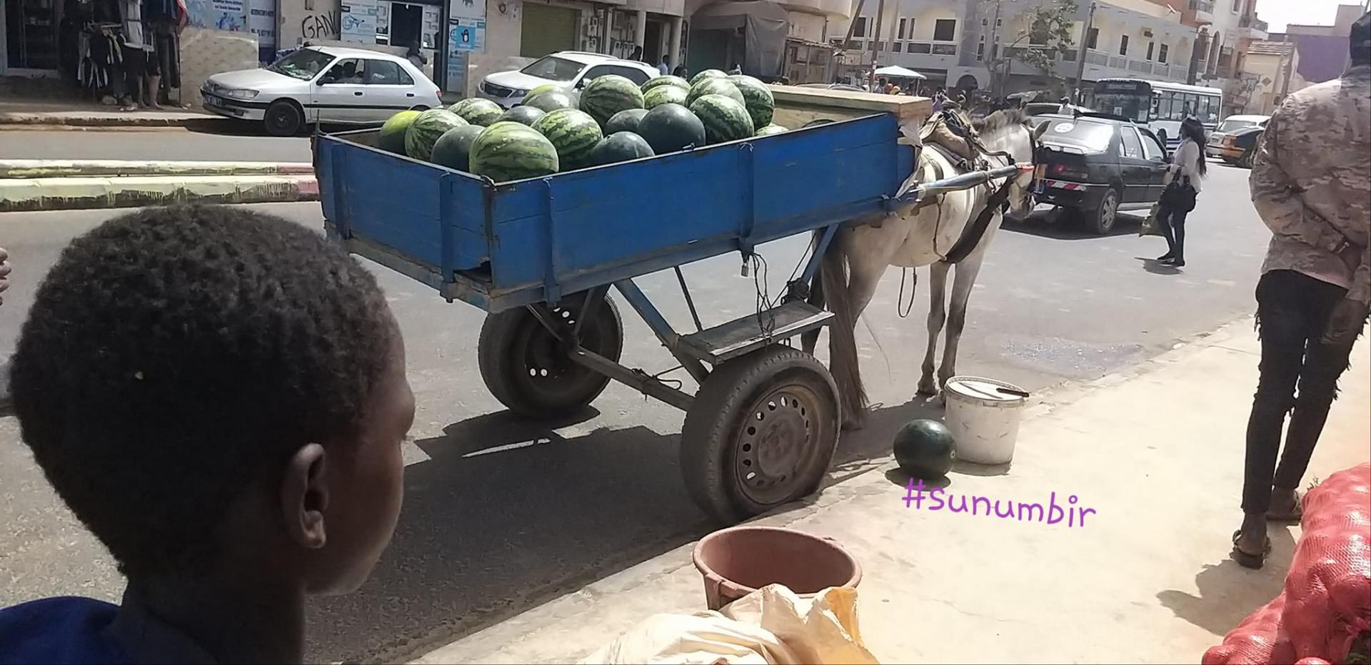 277810001 4907643462616188 3743499801789596057 n