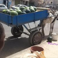 277810001 4907643462616188 3743499801789596057 n