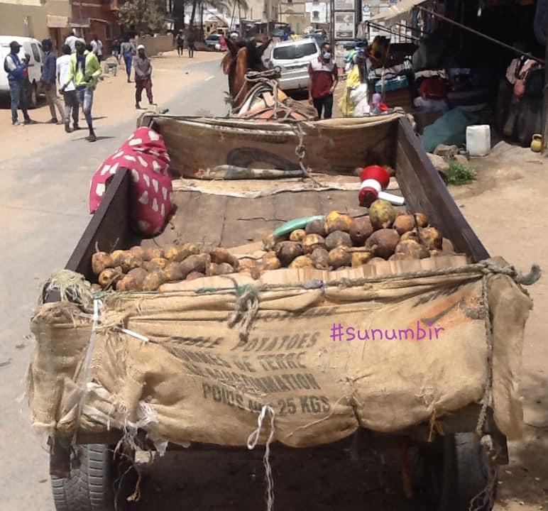 277815047 4909383702442164 9105836527871099188 n