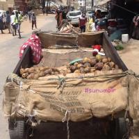 277815047 4909383702442164 9105836527871099188 n