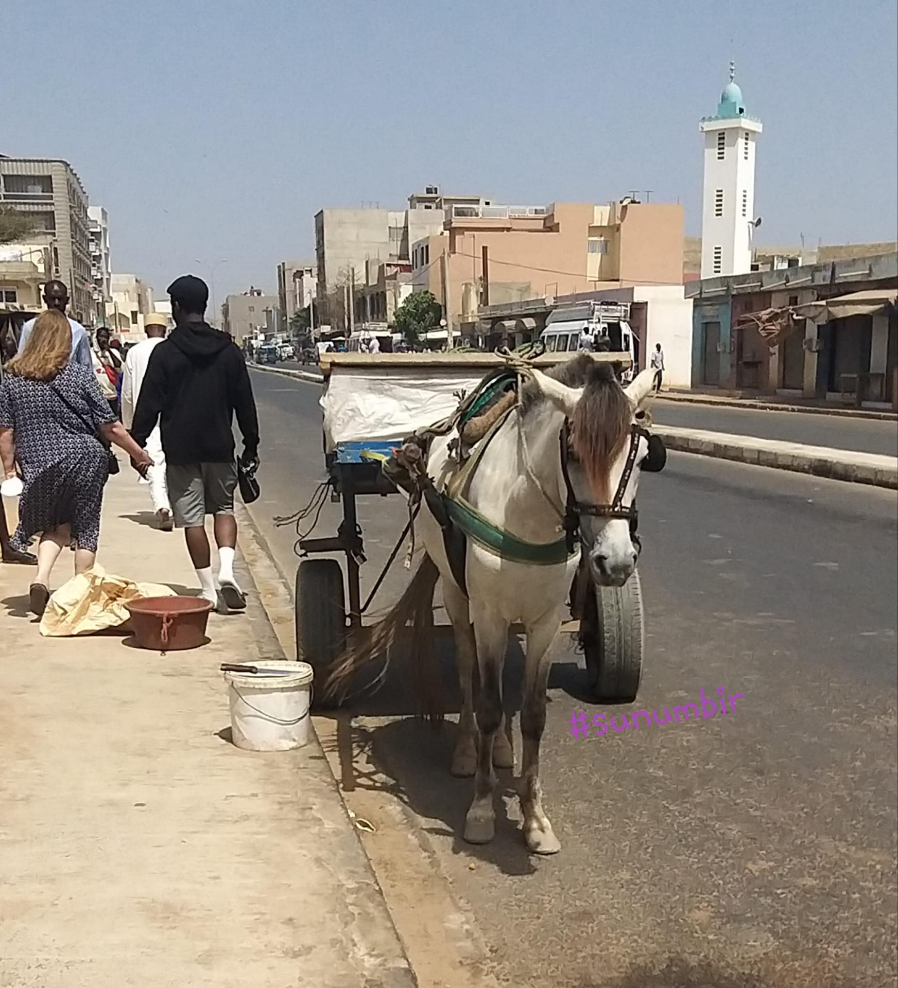 277815736 4907643175949550 2249626129350983655 n