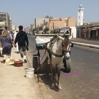 277815736 4907643175949550 2249626129350983655 n