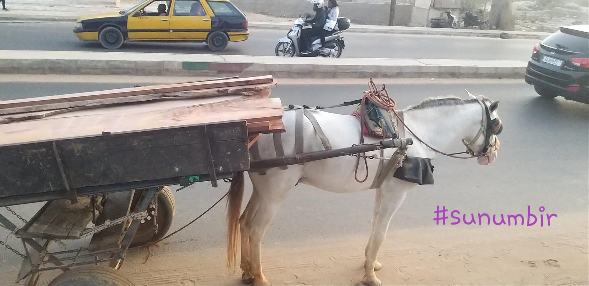 277819825 4914461941934340 1363314873313856527 n