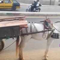 277819825 4914461941934340 1363314873313856527 n