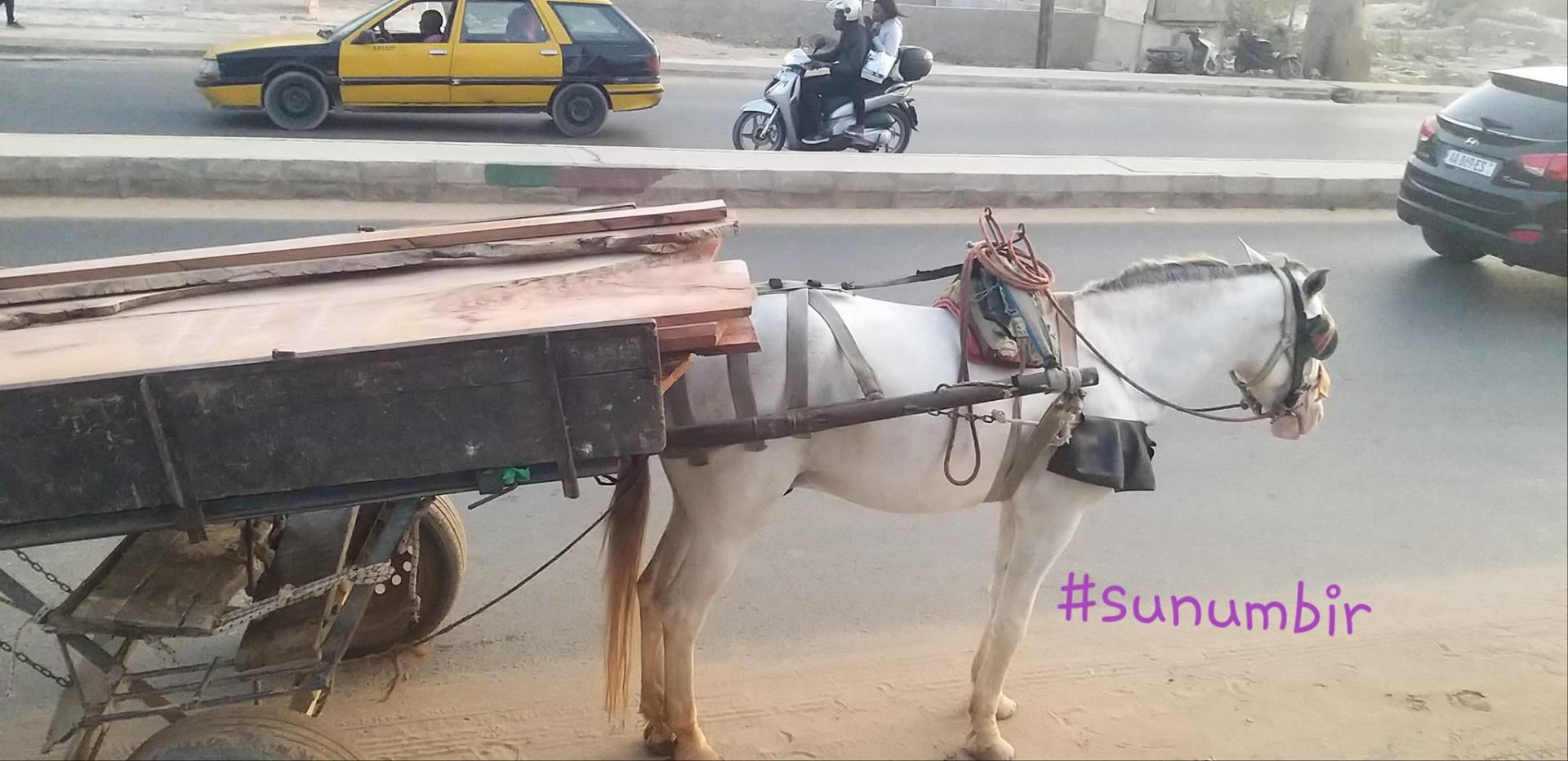 278010076 4914461748601026 4966541881862019507 n