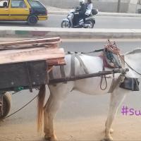 278010076 4914461748601026 4966541881862019507 n