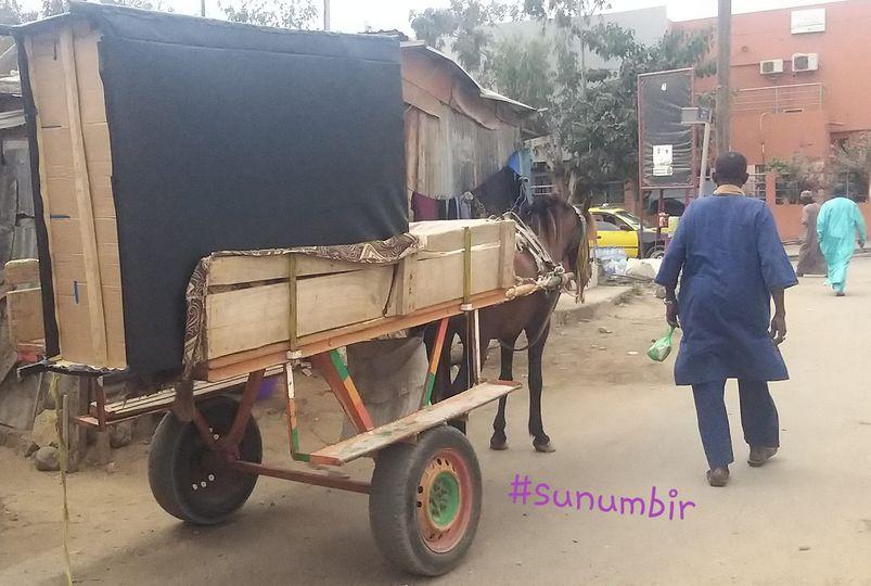 278018811 4918063421574192 7137689463755120937 n