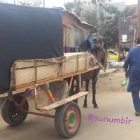 278018811 4918063421574192 7137689463755120937 n