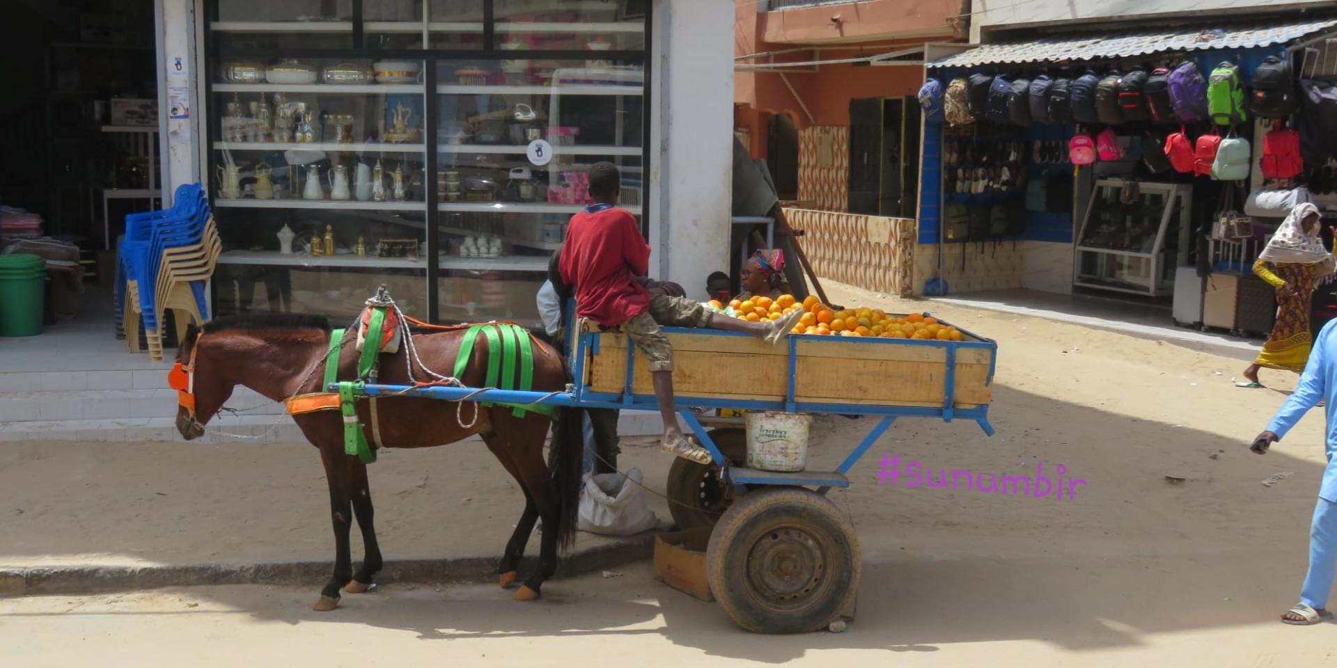 278022934 4916968591683675 4103921865324600405 n