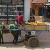 278022934 4916968591683675 4103921865324600405 n