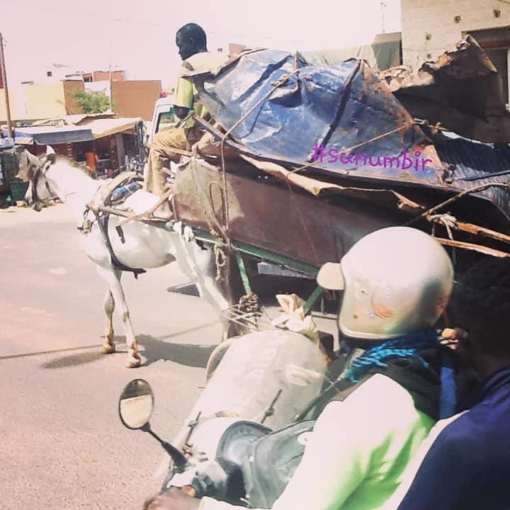 278029214 4915432751837259 4598991215748983938 n